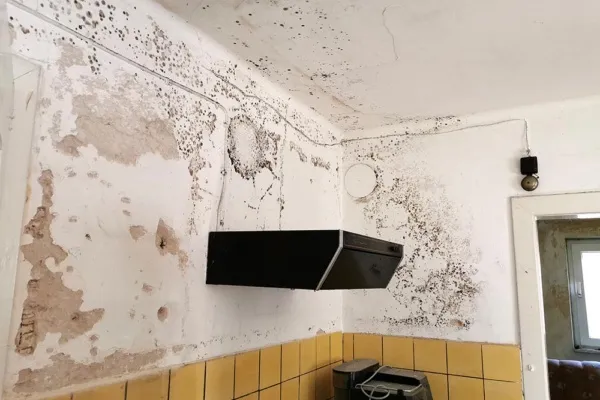 witte muur met vocht en schimmel plekken in de keuken