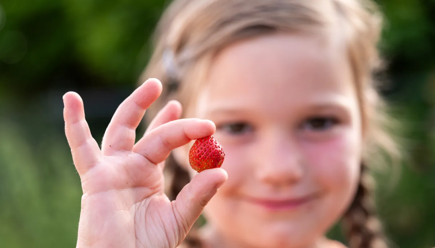Meisje van circa vijf jaar houdt een kleine aardbei tussen duim en wijsvinger omhoog. Het meisje staat buiten en heeft twee vlechten in het haar.